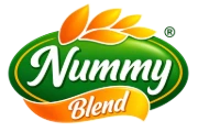 Your Nummy Daily